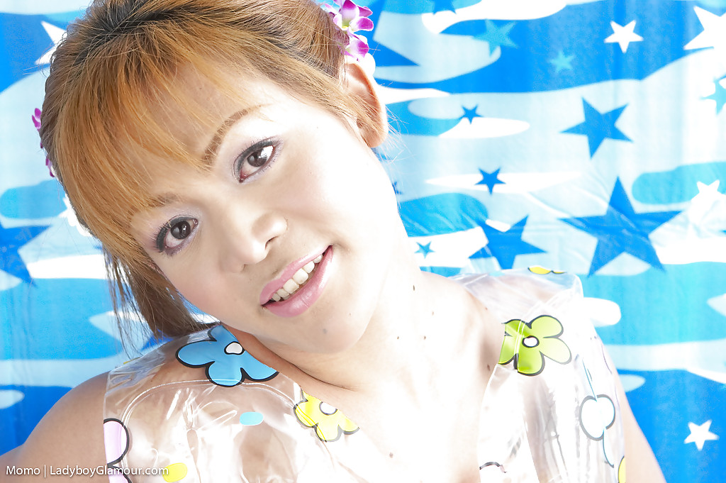 छोटी एशियाई ट्रांसजेंडर मोमो छोटे स्तनों को सहलाती है जबकि छोटा खतना नहीं किया गया लंड दिखाती है