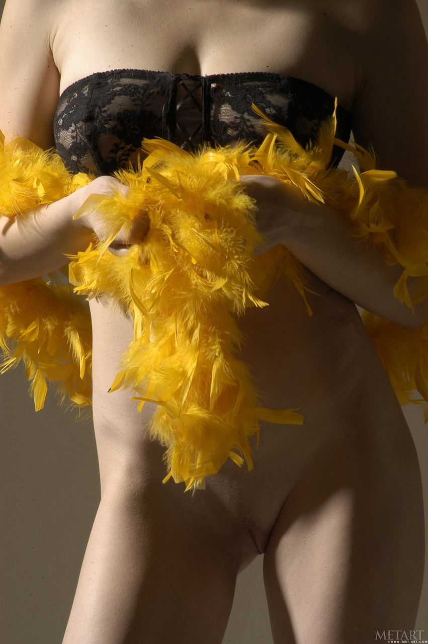 ナルキス メットアート のエッチ画像