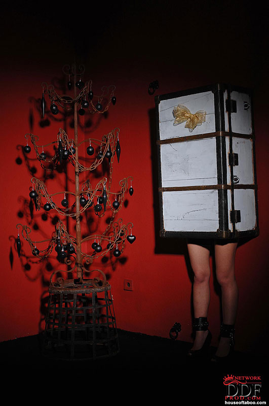 性感宝贝爱丽丝·米勒在恋物场景中展示完美乳房和大屁股