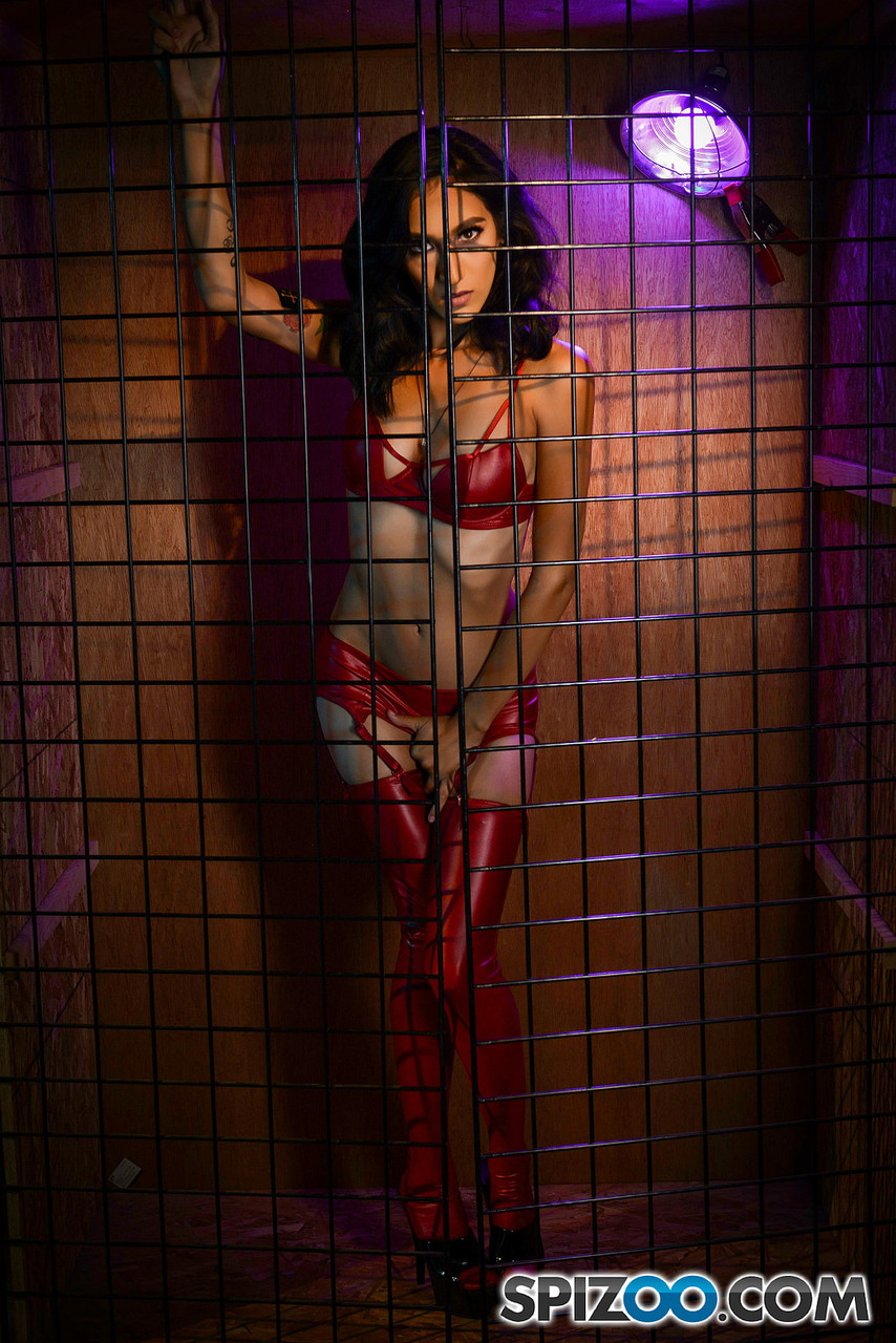 Lesbian Jessica Jaymes Having Sex In Cage