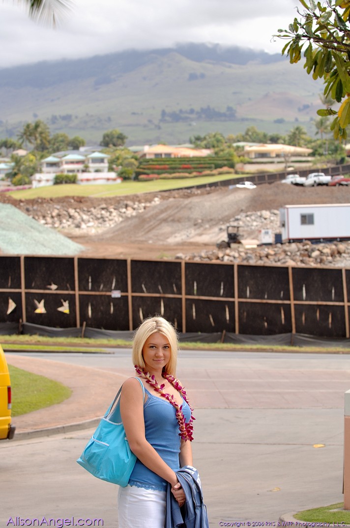 Spielerische Blondine Alison Zeigt Große Titten Und Upskirt Am Straßenrand