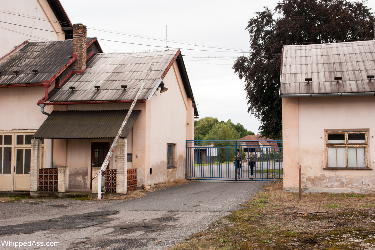 盖布里埃尔古驰、洛蕾莱李、夫人玛德琳马洛主演的鞭打屁股