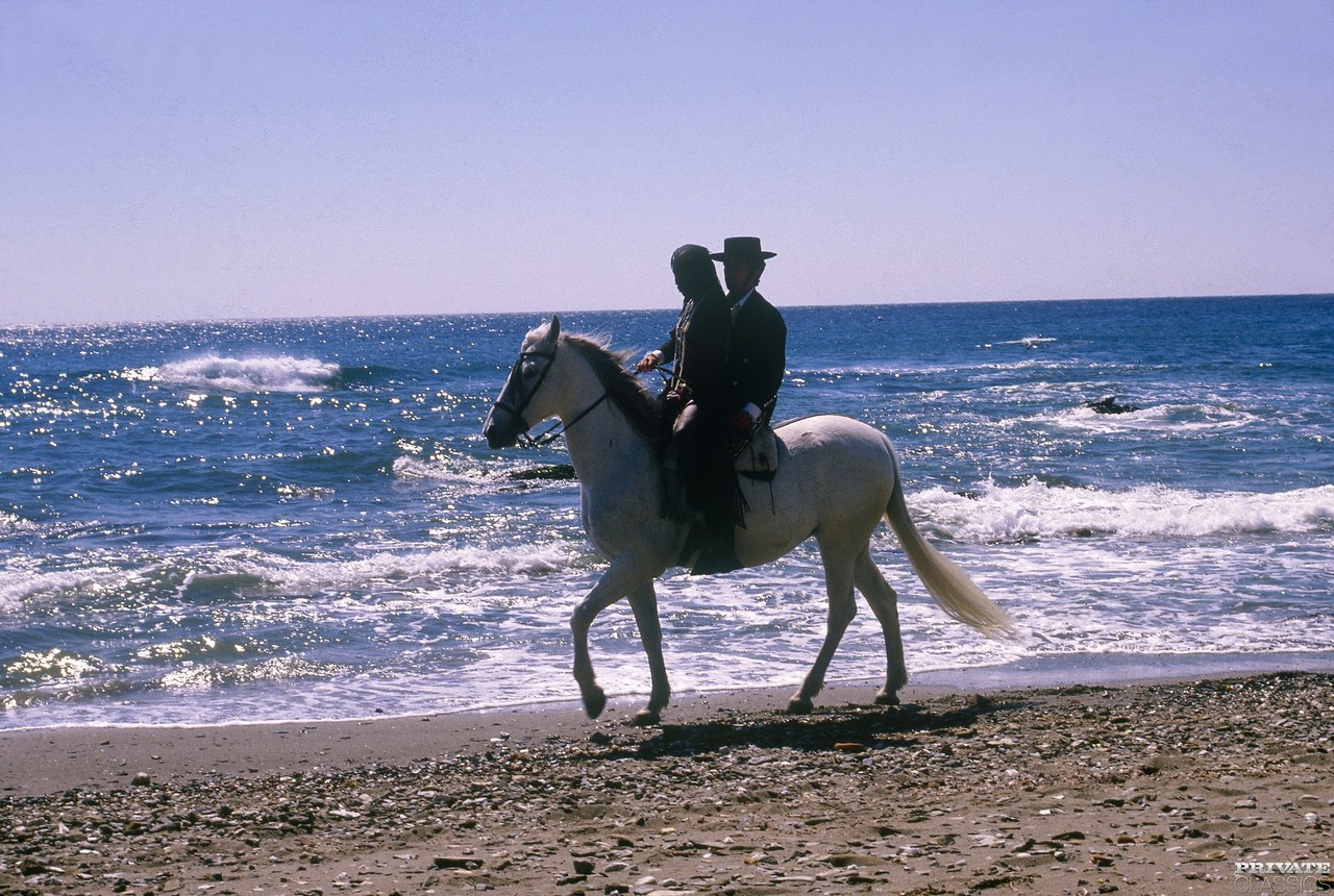 Native Beauty Brenda Thanks Her Hero With A Grateful Blowjob