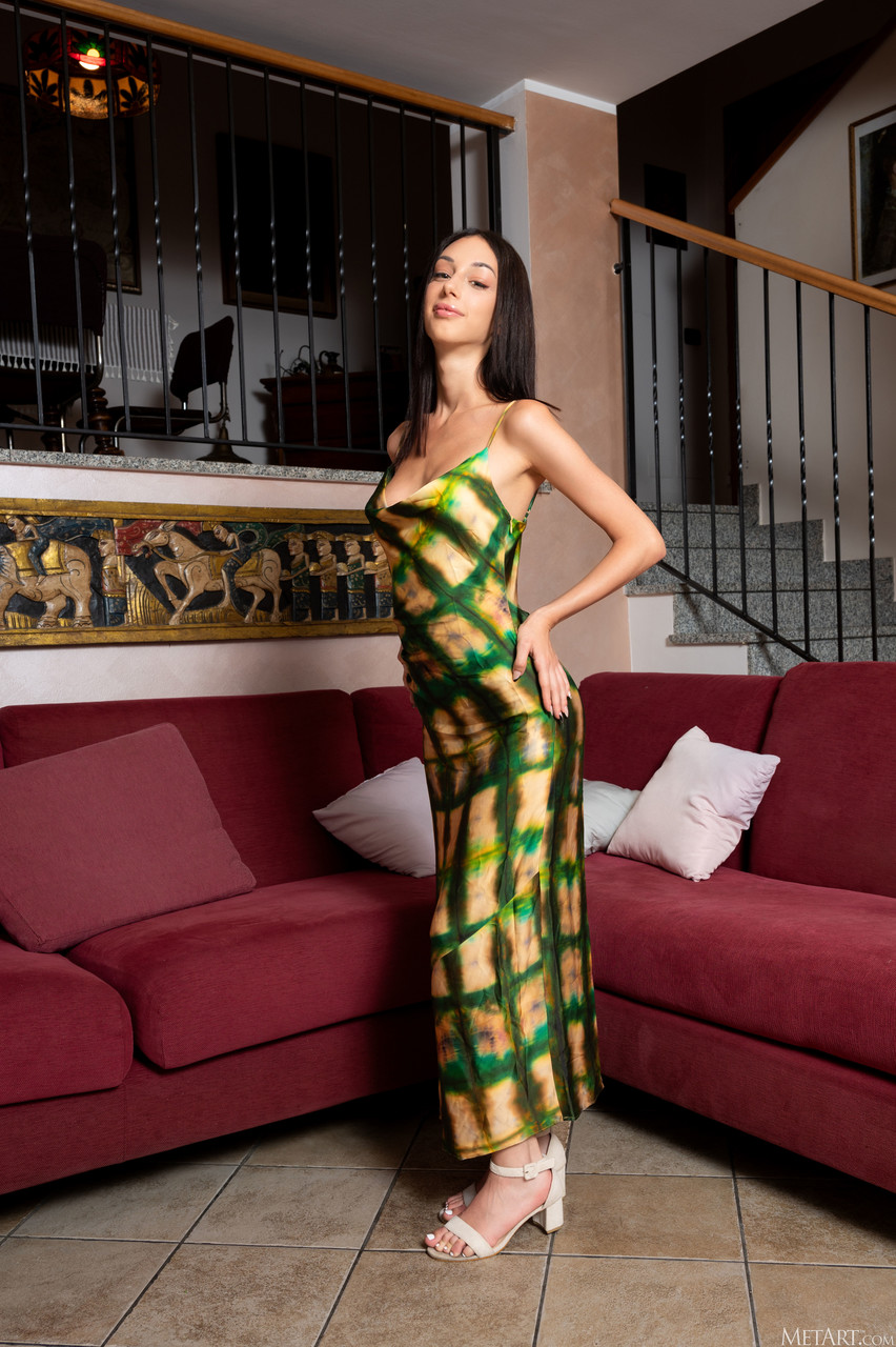 Images Nues De Shania Vega De Met Art