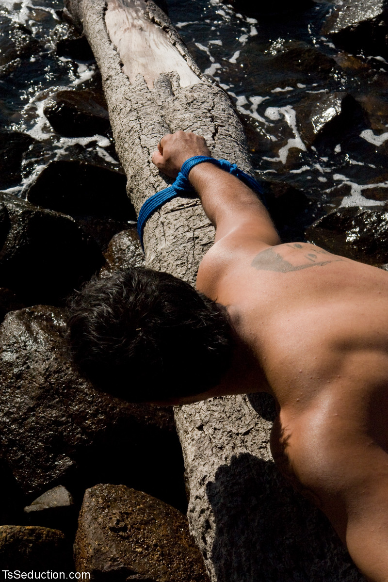 Nackte TS-Verführungs-Galerie Von Carla Tavanes, Karol Dias, Kelly Ohana