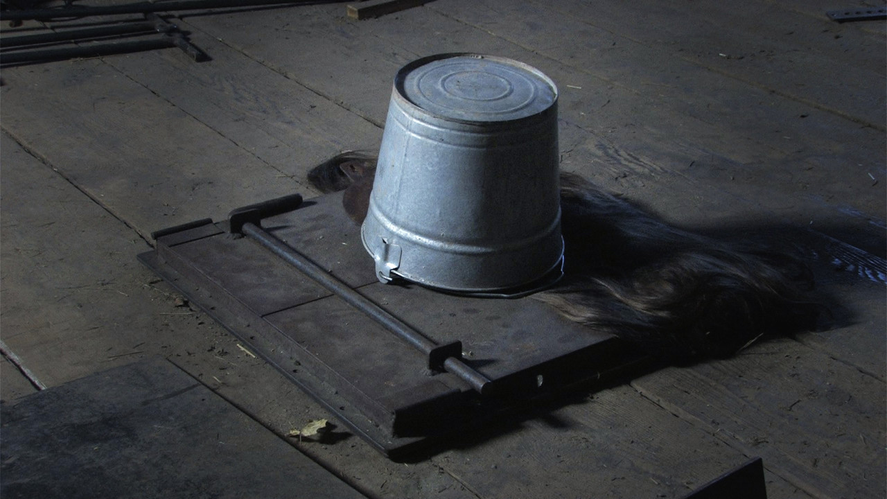 Weißes Mädchen Schwester Dee Wird Benutzt Und Missbraucht Während Sie Im Kerker Gefesselt Ist