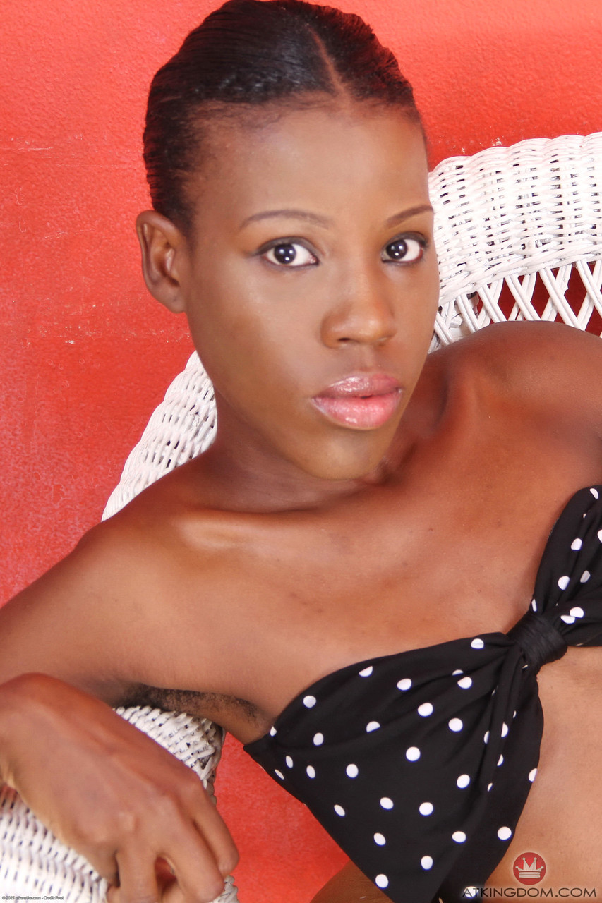 काइए XXX गैलरी जिसमें ATK Hairy है