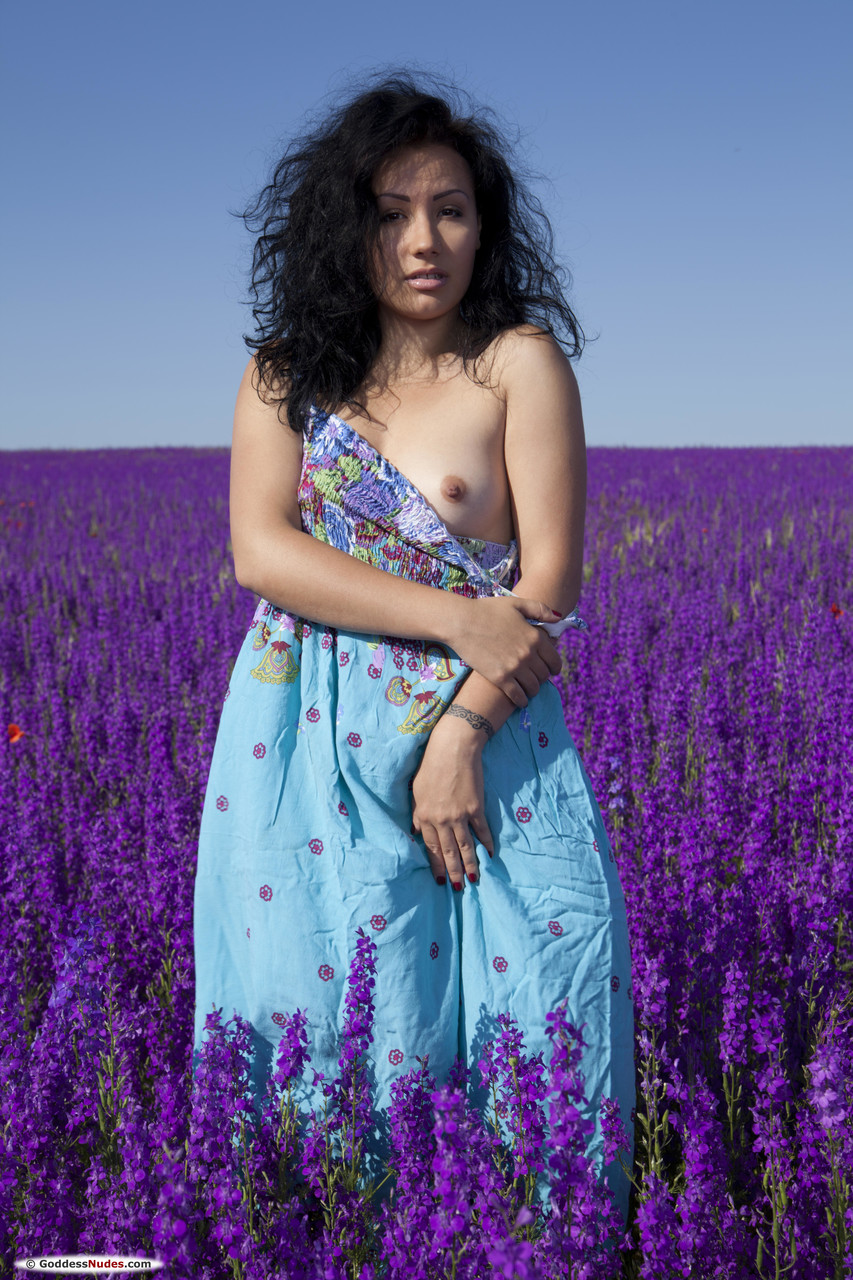 年轻棕发玛莉可在紫色田野脱下夏日连衣裙