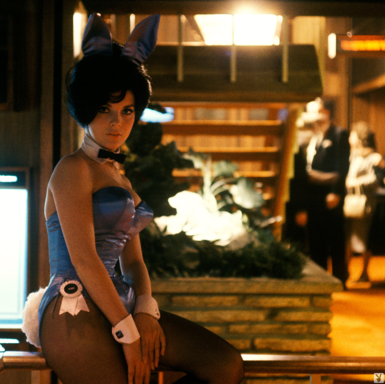 प्लेबॉय बनी बेब्स अपने शैतानी गर्म वक्र प्रदर्शित करती हैं