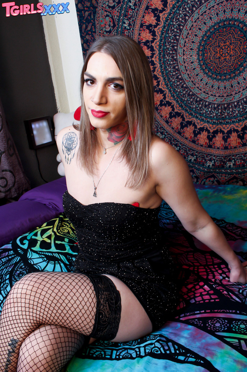 Alexya Volkova Ka Nangi Photo Tgirls Xxx Ke Saath