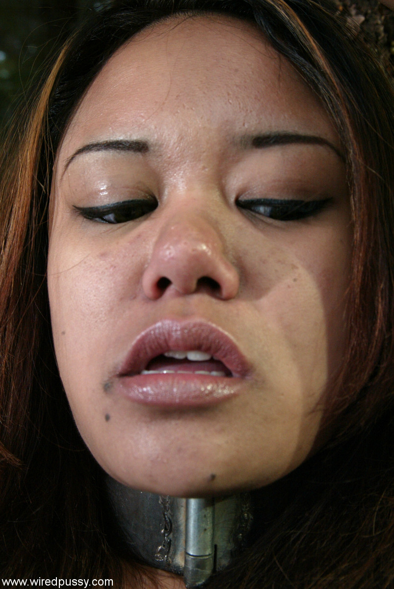 Annie Cruz, Ariel X Et Harmony Dans Des Photos De Bondage Lesbien Wired Pussy