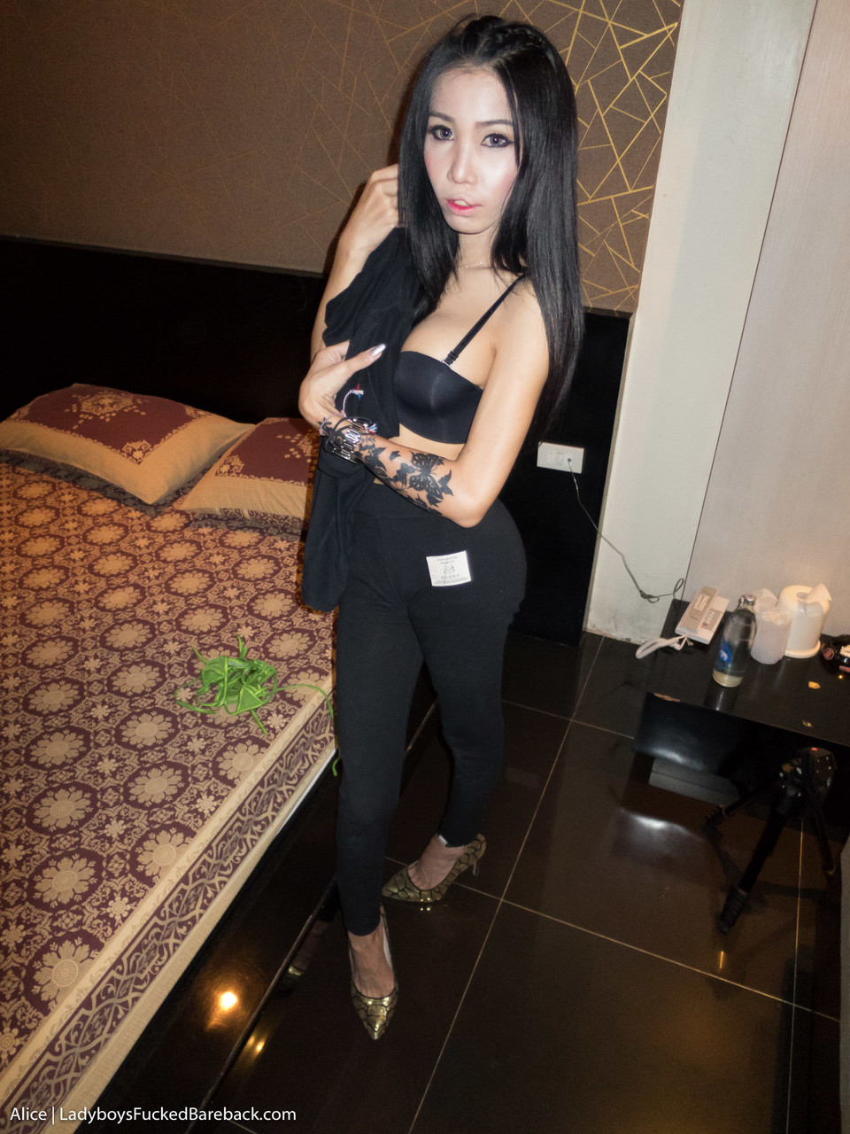 Busty Asian Shemale Alice Spreads Butt Cheeks For Hardcore BB Fucking