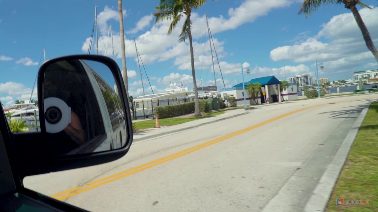 ब्रेना मैककेना, टैटू वाली बेब, बड़ी गांड दिखाती है और वैन में चुदती है