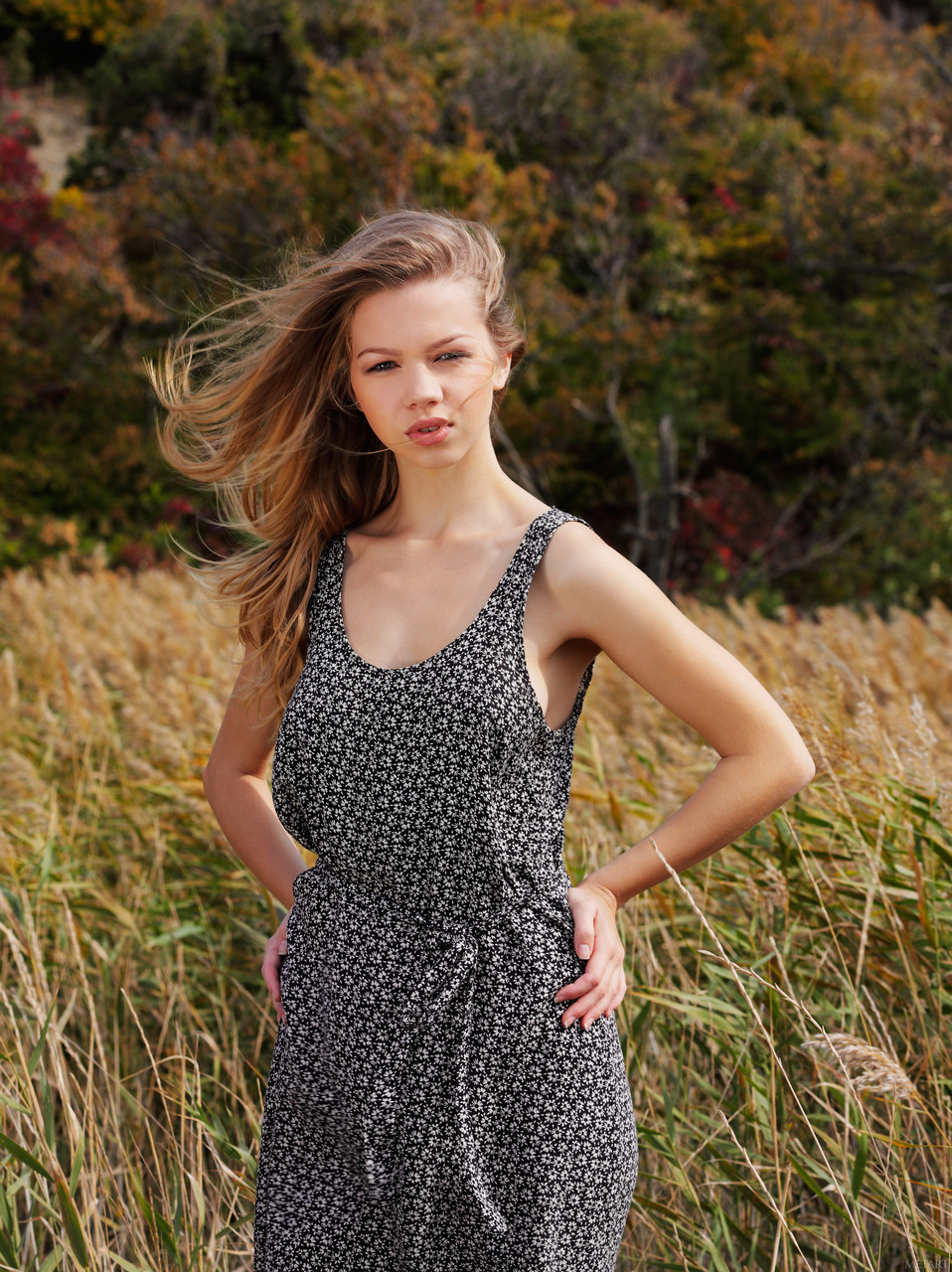 メットアートのアメリアCのセックス写真