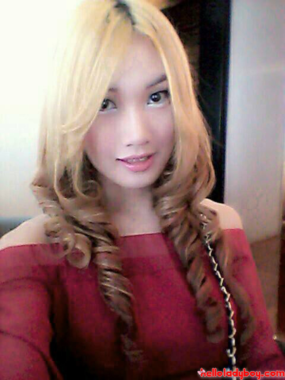 下着を着たスレンダーなアジア系シーメールが綺麗な体を見せる