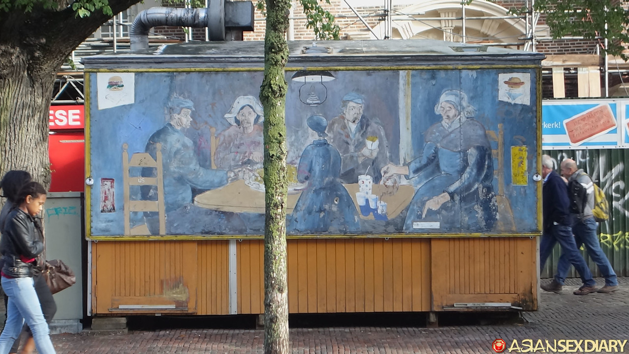 Skinny Asian Babe Nid B Strips Naked & Enjoys POV Doggystyle