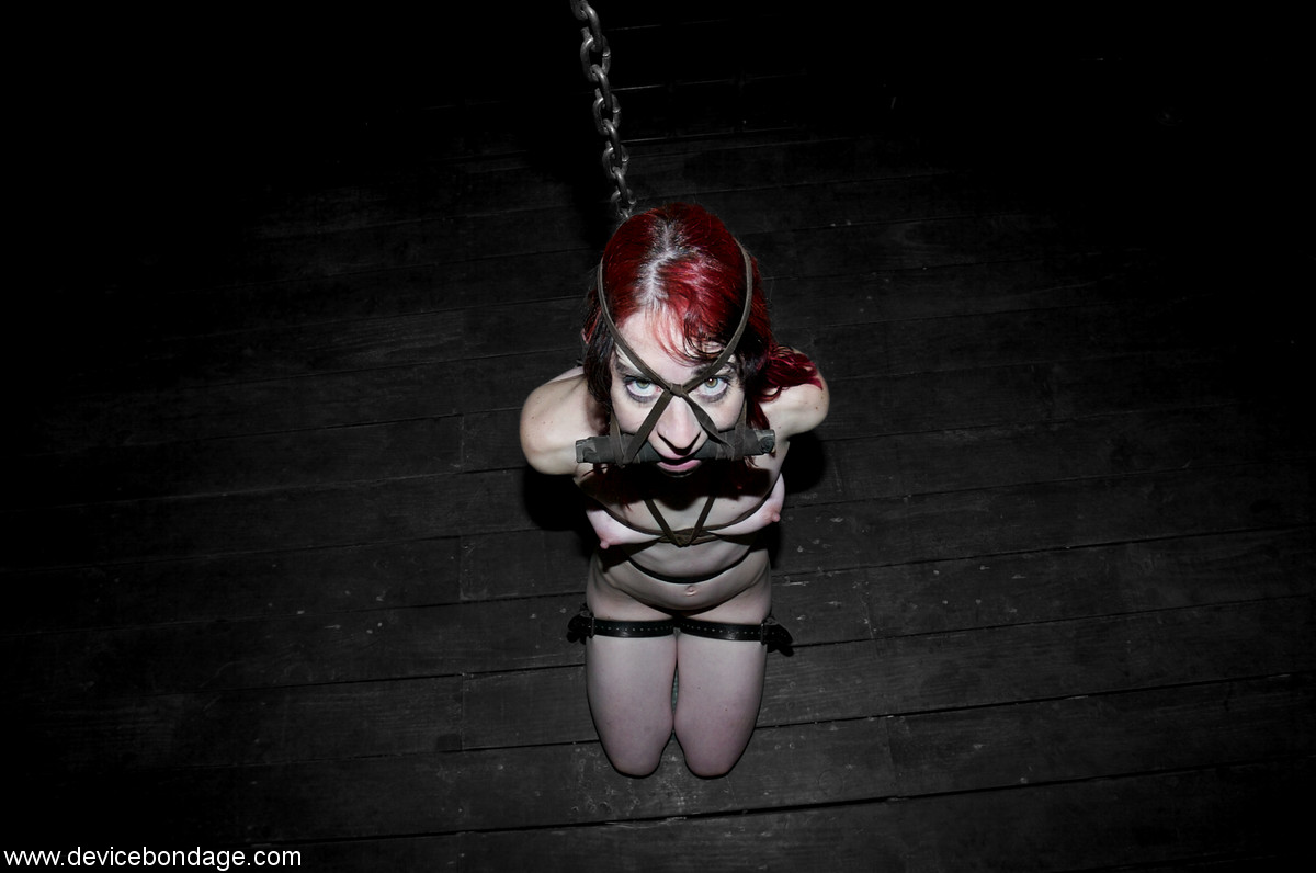 Device Bondage With Arachnia Webb In XXX Pics