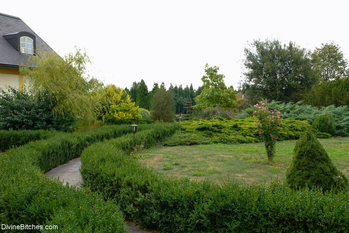 Sexy Raubkatze Sandra Romain Blendet Ihre Möse Und Entblößt Ein Erstaunliches Arschloch