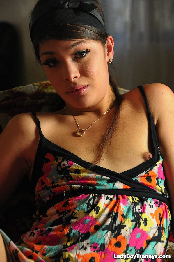 Hot Ladyboy Tranny Gallery